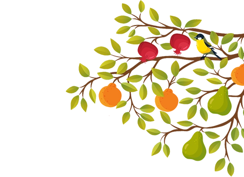 A bird sitting on a tree with fruits.